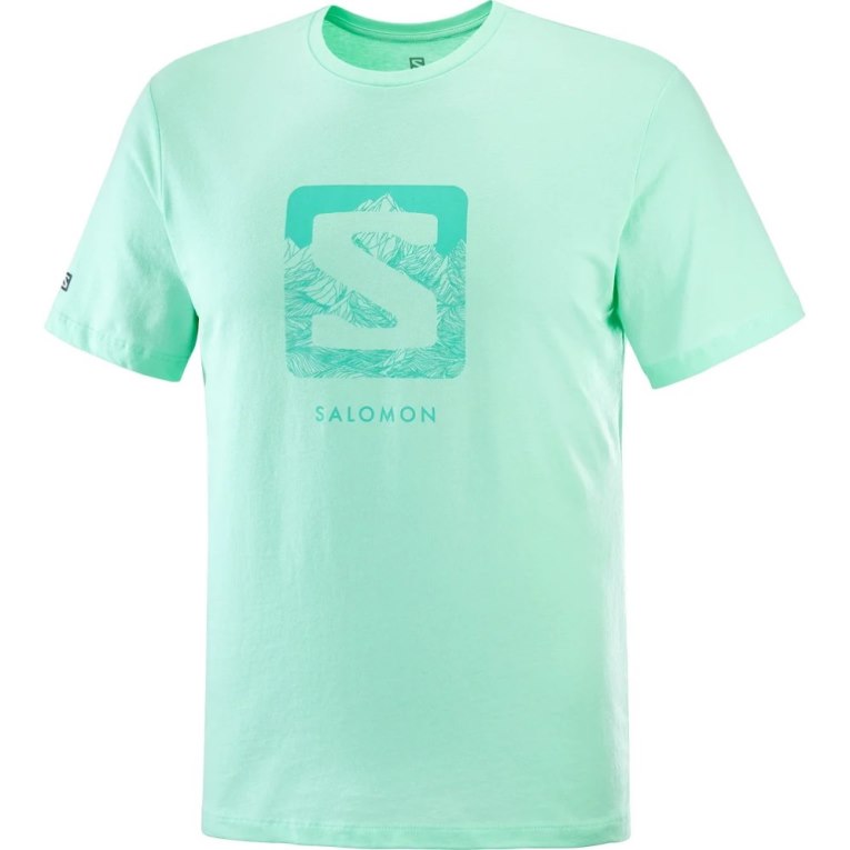 Camiseta Salomon Outlife Logo Corta Sleeve Hombre Verde Menta | MX DRWQ015